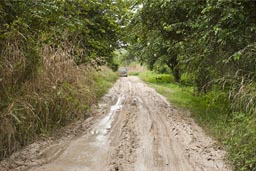 On way to Carmelita. Roads get worse, muddy. Guatemala, Peten.