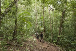 Trekking on in the Maya jungle. 