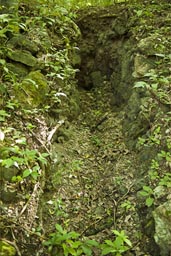 looters tunnel/cave, countless Maya ruins in the Peten jungle have been looted, Guatemala.