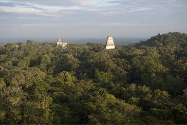 Tikal receives a bit of late sunset light.