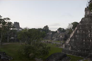 Tikal is huge.