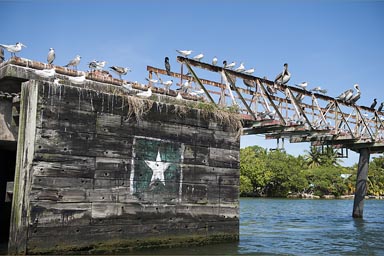 Rusty structure, pelicans, gulls, cormorant, Livingston, Guatemala..