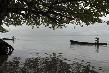 Marisco on Lake Izabal, canoes under huge tree in the haze. Guatemala.