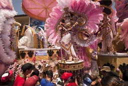 Feathered queen. Carnival, Las Tablas, Panama.