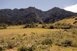 Volcan Baru from the back. altitude is 2,500m. Panama, Cerro Punta.