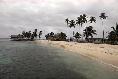 Porvenir beach, palms, Kuna Yala, San Blas island, Panama.