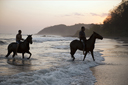 Riders take horses in ocean, cambutal, Panama.