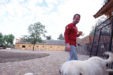 Wojciech and dogs