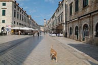 Dog on main street, Dubrovnik.