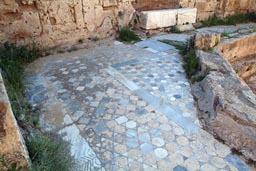 Salamis, pavement.