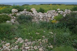 Stone walls, of abandoned settlement, Cyprus, north.