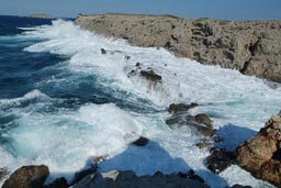 Wild Sea Cyprus East End.