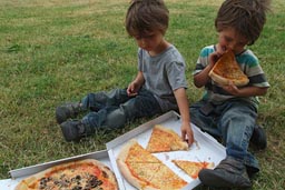 Copenhagen, pizza in park.