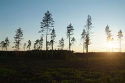 Finland, sun sets late.