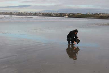 Heidi on beach gathering shells or ...