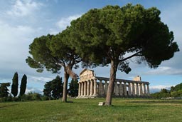 Paestum, Greek Temple, ruin.