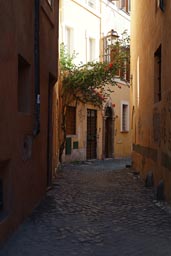 Rome/Roma, little street, sunlight and flowers