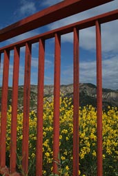 Road to Aliano in Basilicata, blue sky, bridge, rusty railing, yellow gorse/Ginster.