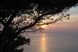 Calabria, coast, tree, steamy sunset.