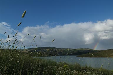 Lago di Monte Calugno in Basilicata, Rainbow, blades of grass.