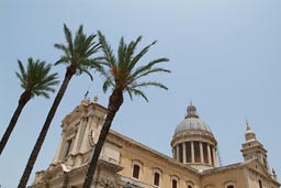 Comiso, duomo, palms.