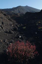 Mount Etna.