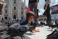under pigeons, Milan.