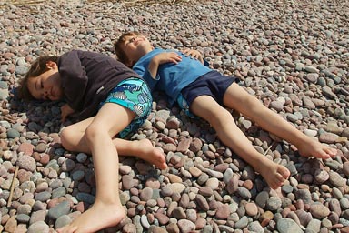 Warming on hot pebbles on beach.