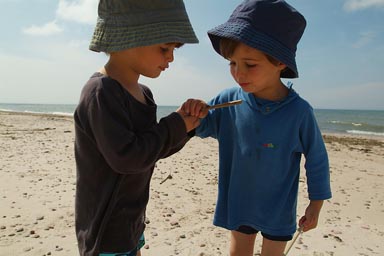 Boys in hats, watching a bug on a stick.