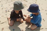 Finding a bug on a beach.