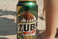 Zubr, Polish bison beer.