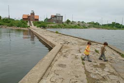 Picking up dead fish, Ventes, Lithuania.