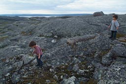 Boys explore Norway.