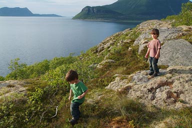 Descending the moss covered rocks.