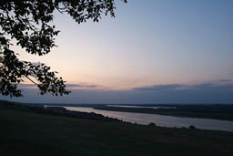 Danube, trees, stones, twilight, dusk.