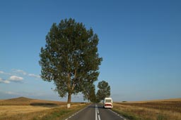 Danube Delta Road