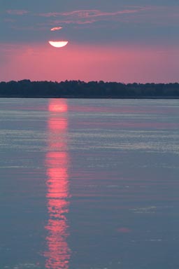 Pink Danube sunrise.