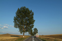 Danube delta road.