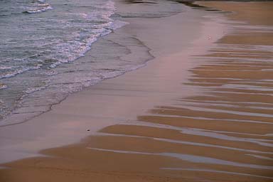 water on beach