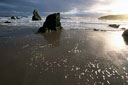 Beach Durness, North Scotland.