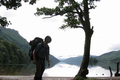 Tree on top of Loch Lomond