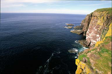 Handa Island Cliffs