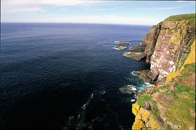 Handa Island Cliffs