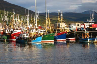 Ships in Ullapool Harbour