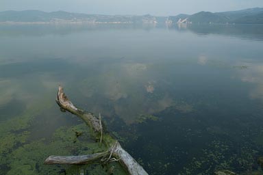 Danube, border Romania, Serbia.