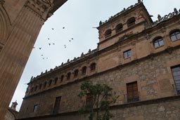 Salamanca. pigeons fly.