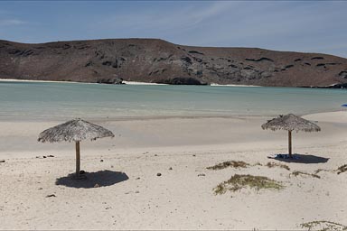 Parasols Balandra beach, Baja Sur.