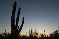 Sunset, desert near Ciudad Constitucion.