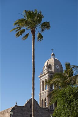 loretto, Baja, mission church, palm tree.