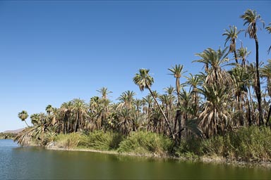 San Ignacio, Baja California Sur, oasis, lake and palms.